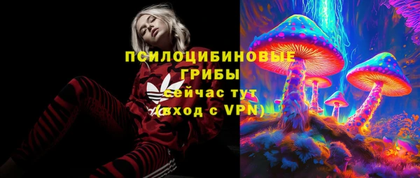 гидропоника Новозыбков